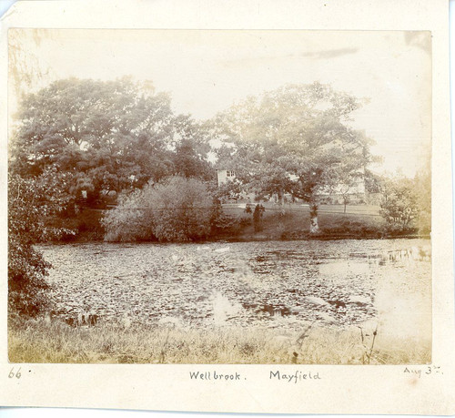 Royaume uni wellbrook - royaume-uni,,