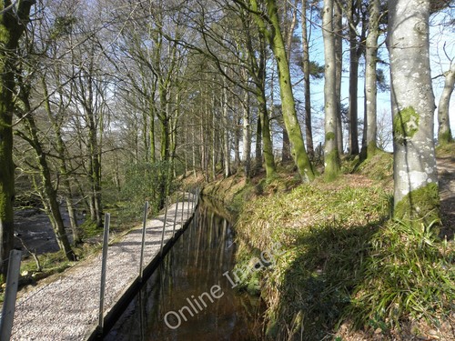 Photo 12x8 the mill race - the,