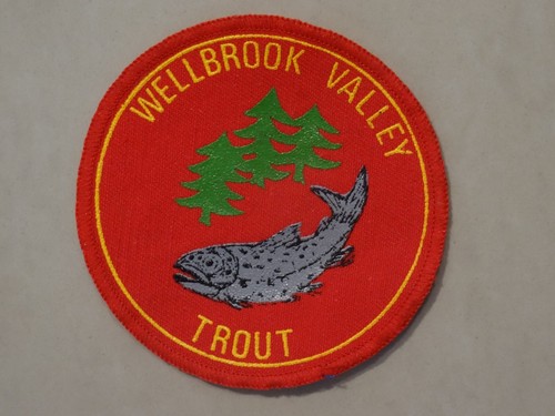 Wellbrook valley trout cloth - wellbrook,