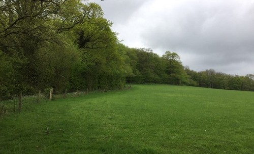 Photo 6x4 woodland near - 6x4,